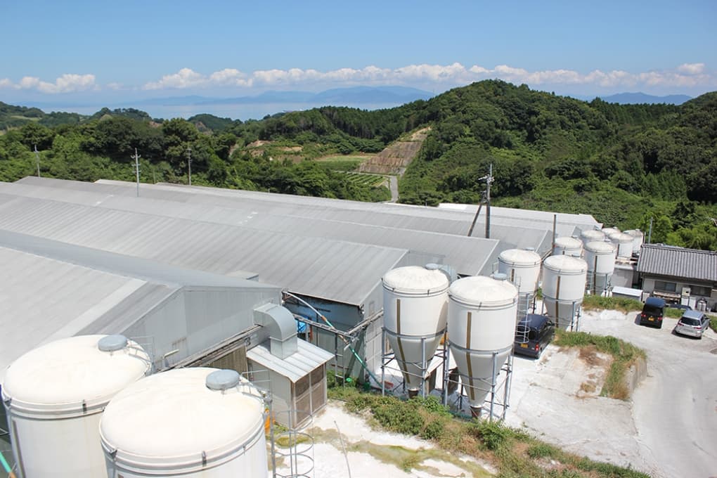 健康な鶏を育て良質なたまごを生産